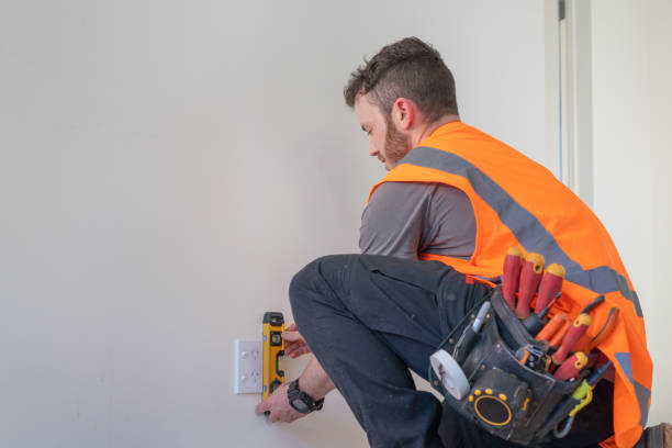Best Electrical Troubleshooting Services  in Bull Valley, IL